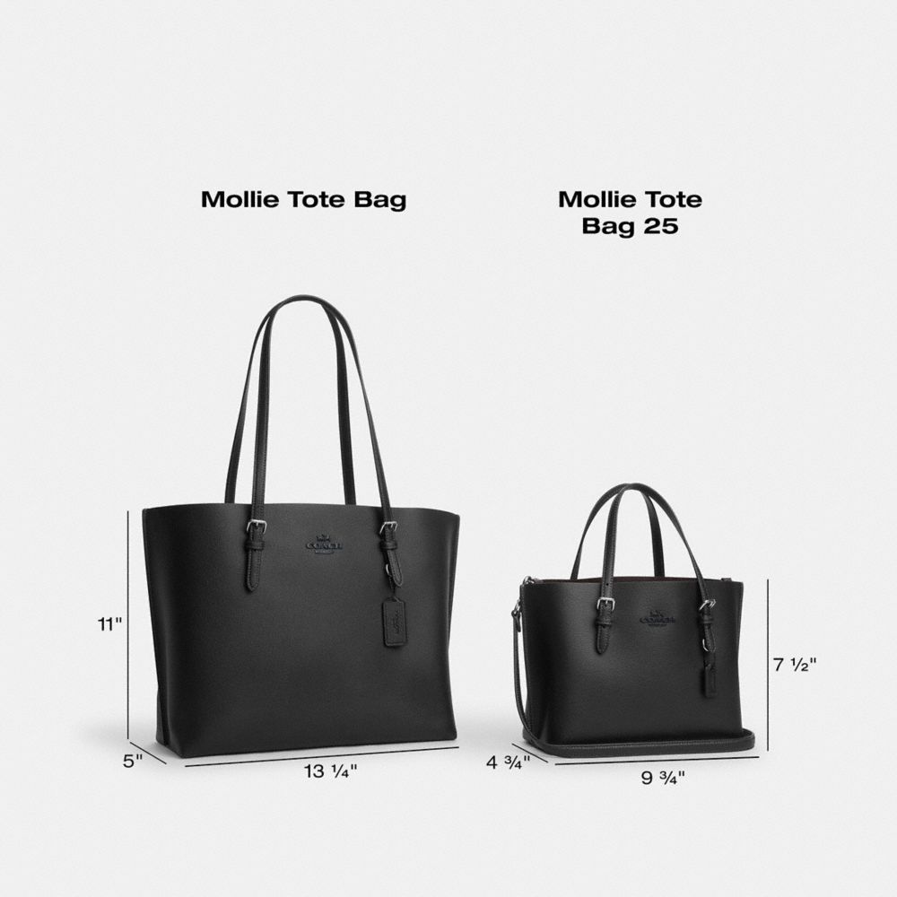 코치 Mollie Tote Bag 25 In Signature Canvas With Cherry Print 이미지