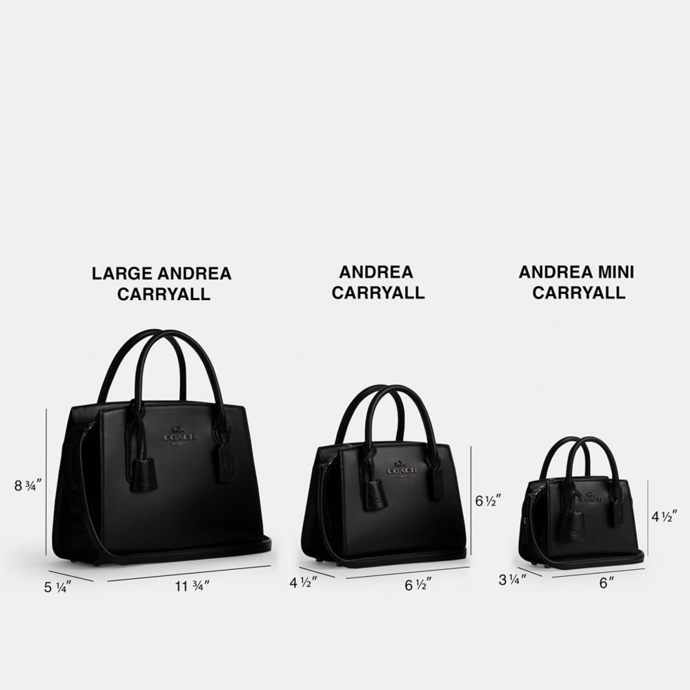 코치 Andrea Carryall Bag 이미지