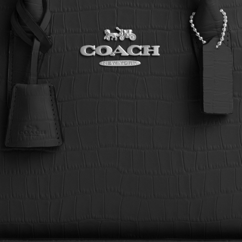 코치 Andrea Carryall Bag 이미지