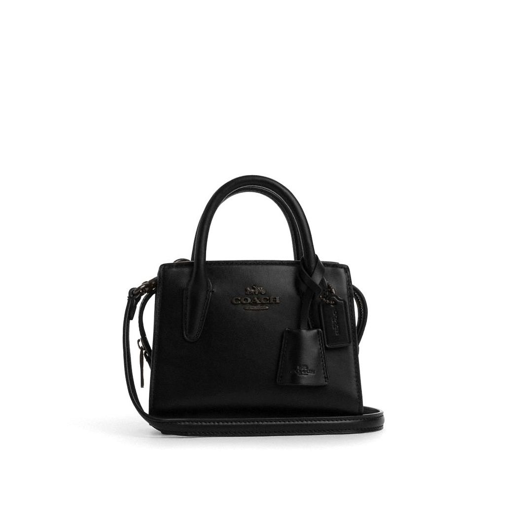 코치 Andrea Mini Carryall 이미지