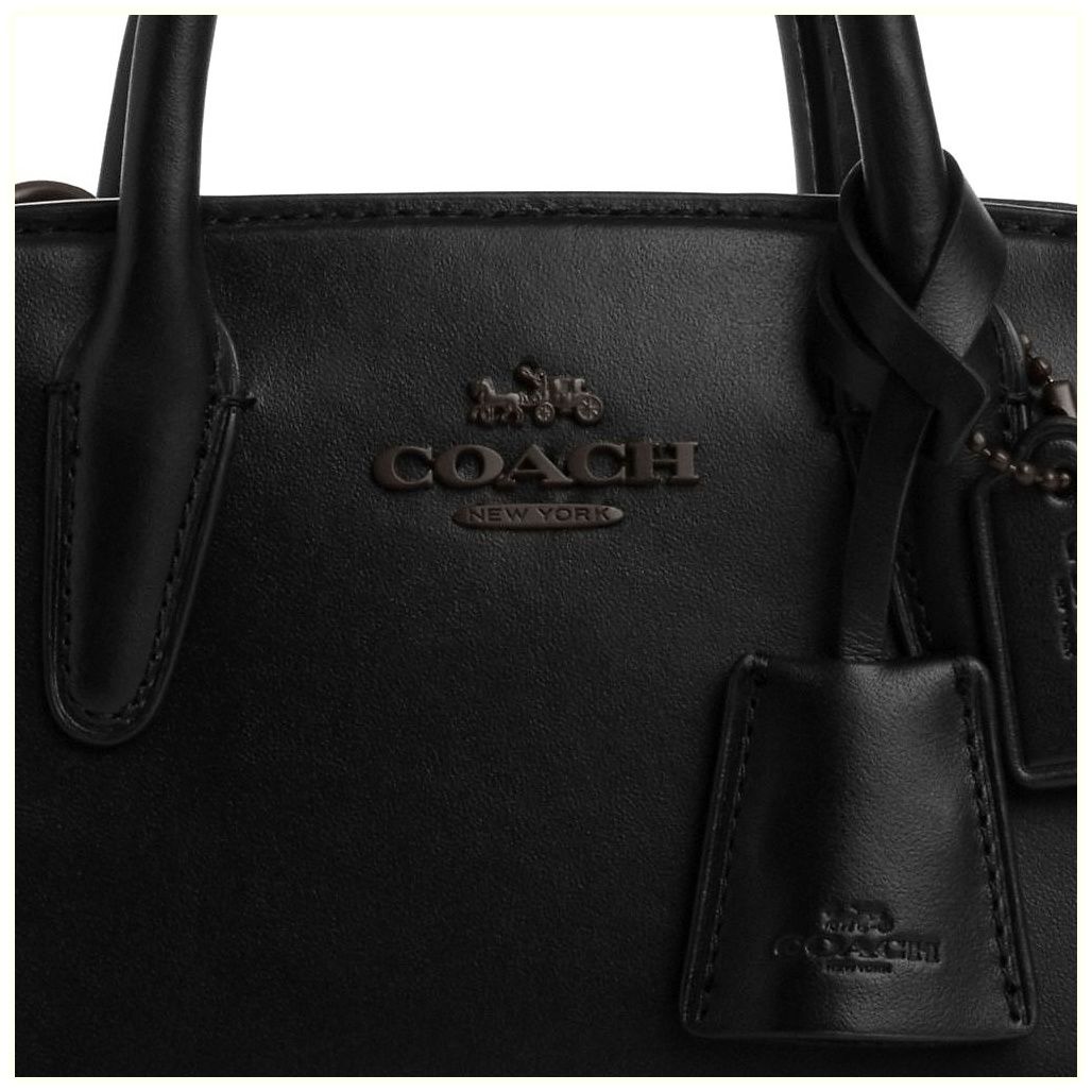 코치 Andrea Mini Carryall 이미지
