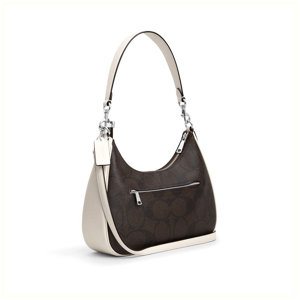 코치 Teri Hobo In Signature Canvas With Coach Graphic 이미지