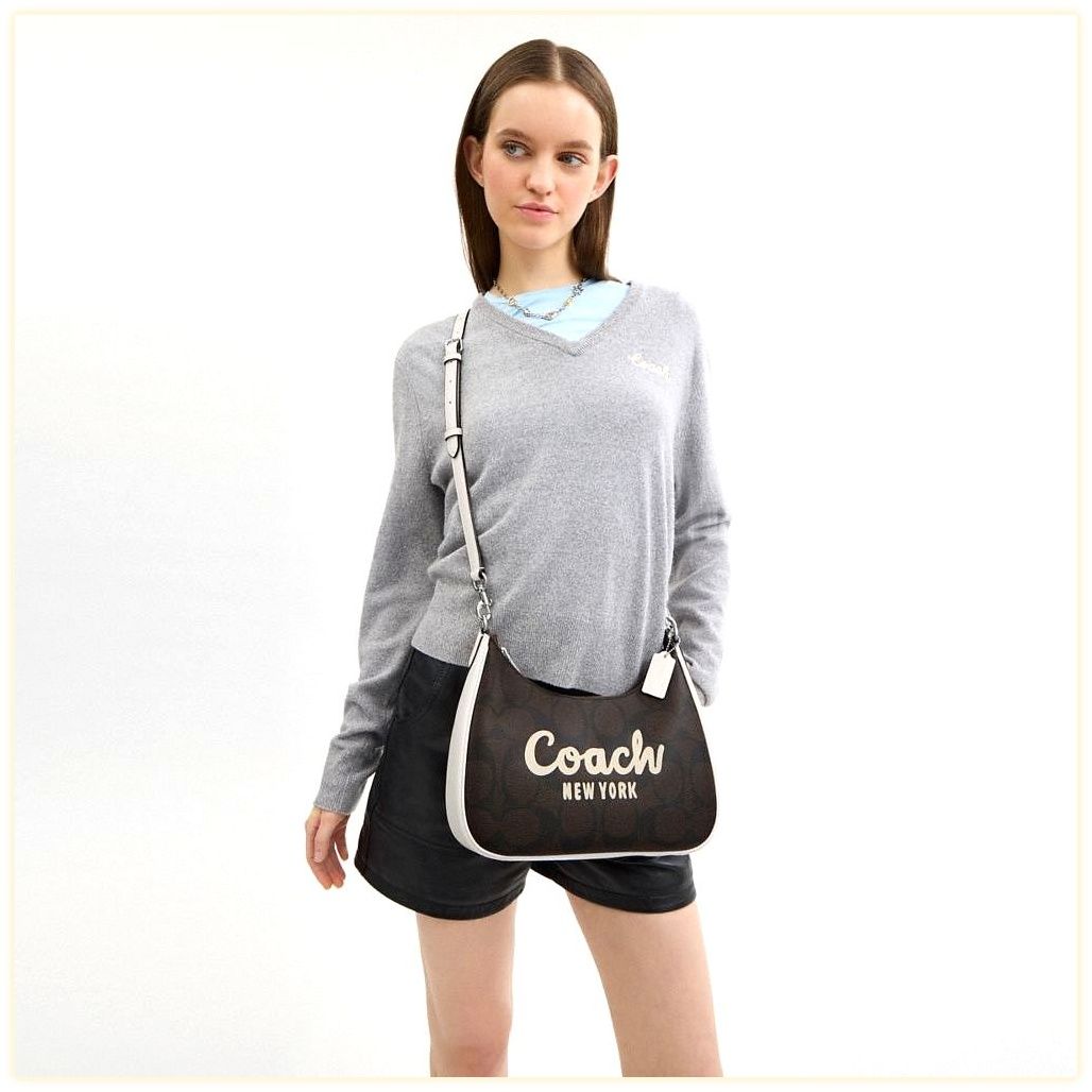 코치 Teri Hobo In Signature Canvas With Coach Graphic 이미지