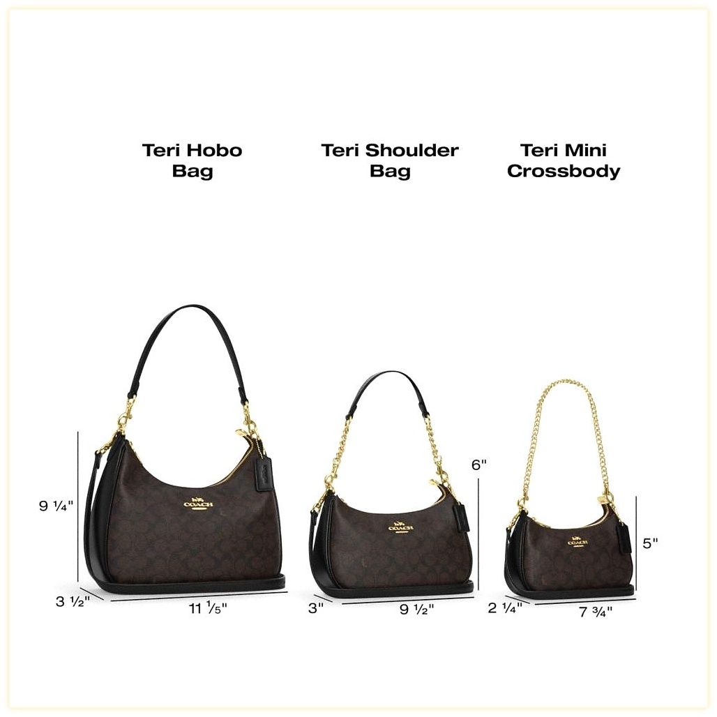 코치 Teri Hobo In Signature Canvas With Coach Graphic 이미지
