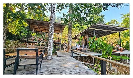 Altitude 79 Coffee Shop 이미지