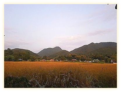 Buzzas @ Pai Chan 이미지