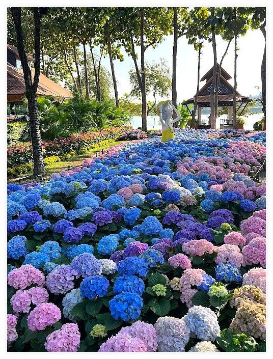 Chiang Mai Chaloem Phrakiat Park 이미지