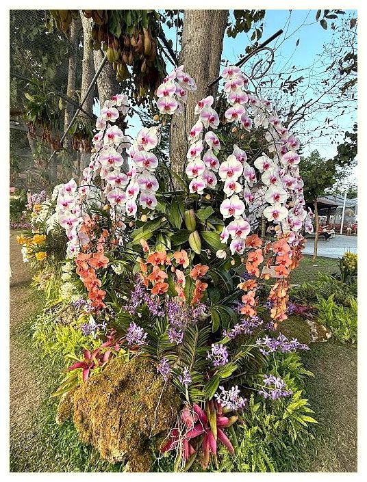 Chiang Mai Chaloem Phrakiat Park 이미지