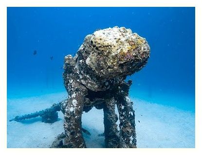 Deep Dive Center at Koh Tao Montra 이미지