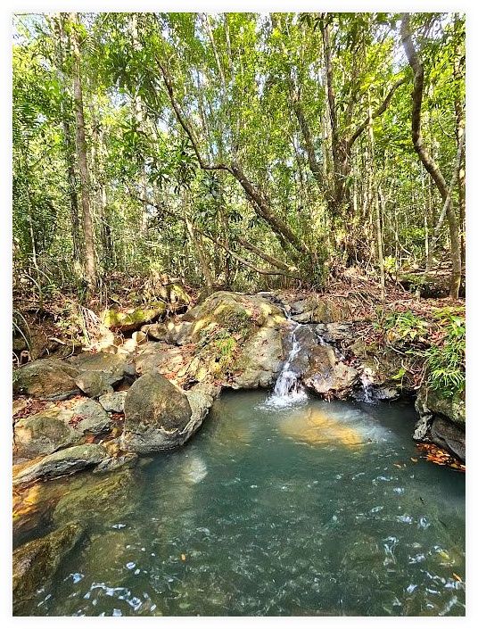 Dragon's Crest (Ngon Nak Nature Trail) 이미지
