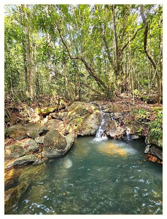 Dragon's Crest (Ngon Nak Nature Trail) 이미지