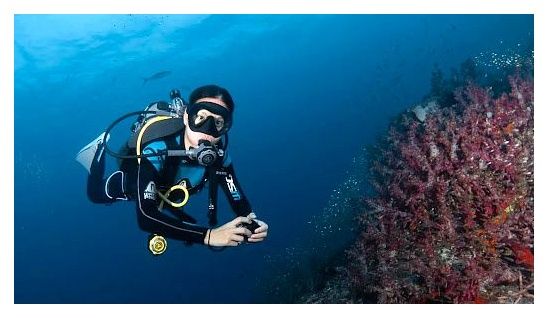 Escape Divers Hostel and Dive Centre 이미지