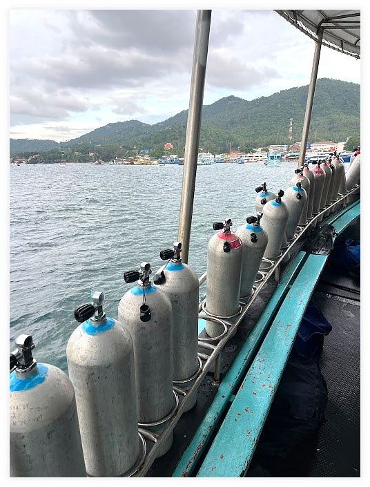 Escape Divers Hostel and Dive Centre 이미지