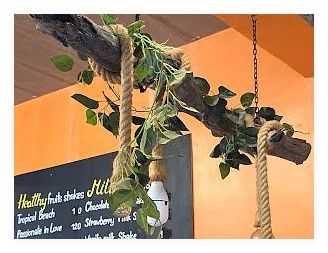 Food Art Hut 이미지