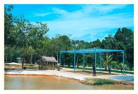 Green Elephant Sanctuary Park 이미지