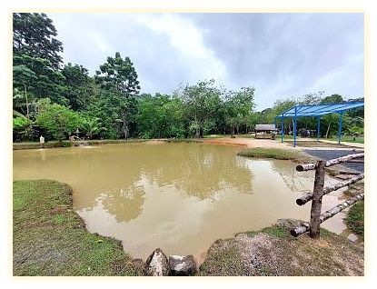 Green Elephant Sanctuary Park 이미지