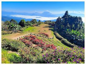 태국 매홍손 후아이 남당 국립공원 숨겨진 절경 후기 일출 명소 추천 (Huai Nam Dang National Park) 이미지