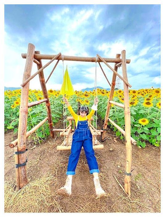Lopburi Sunflower Field 이미지