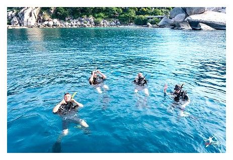 Mojo Diver - Koh Tao Diving Centre(Main Centre) 이미지