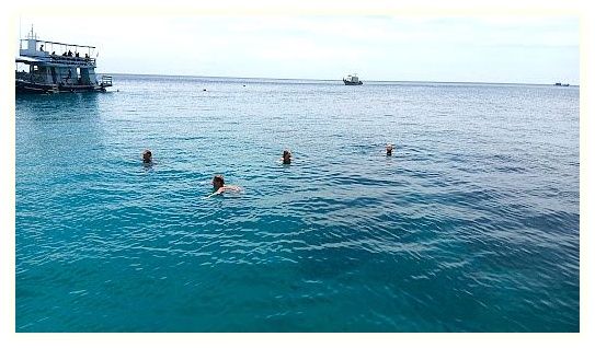 Mojo Diver - Koh Tao Diving Centre(Main Centre) 이미지