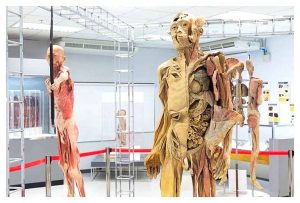 태국 파이 가볼만한곳 Museum of Human Body 인체 박물관 방문 후기: 경이로운 인체 탐험 (주소, 리뷰, 웹사이트 정보) 이미지