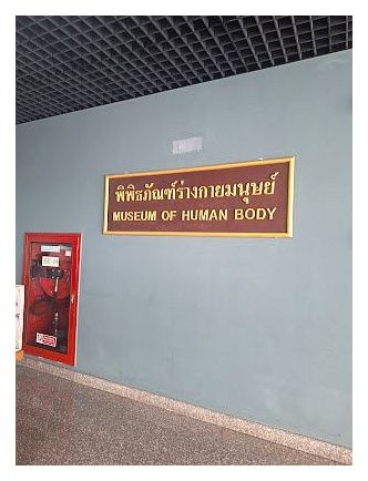 Museum of Human Body 이미지