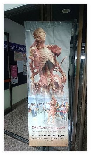 Museum of Human Body 이미지