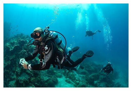 Nitro Dive Center 이미지