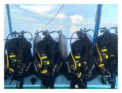 Nitro Dive Center 이미지