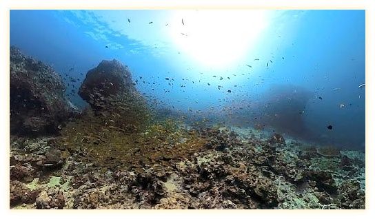 PhiPhi Underwater 이미지
