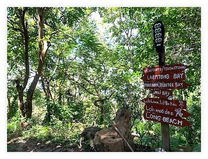 Phi Phi Viewpoint 3 이미지
