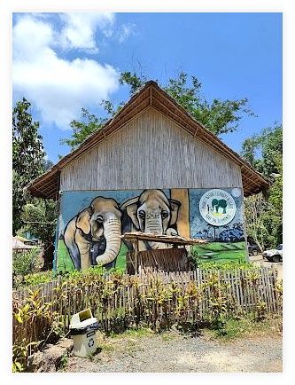 Phuket Elephant Nature Reserve 이미지