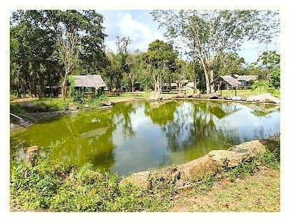 Phuket Elephant Nature Reserve 이미지