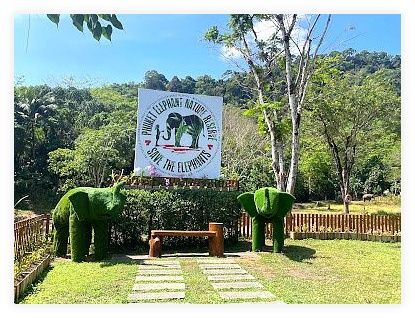 Phuket Elephant Nature Reserve 이미지