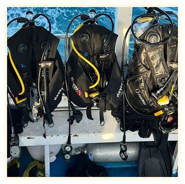 Princess Divers - Scuba Diving Phi Phi Island 이미지