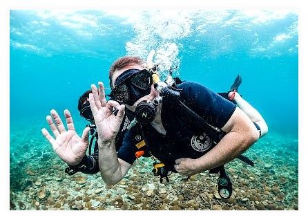 Roctopus™ | Koh Tao Diving Center 이미지