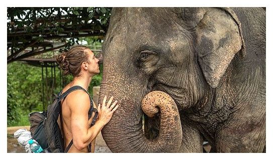 Samui Elephant Kingdom Sanctuary 이미지
