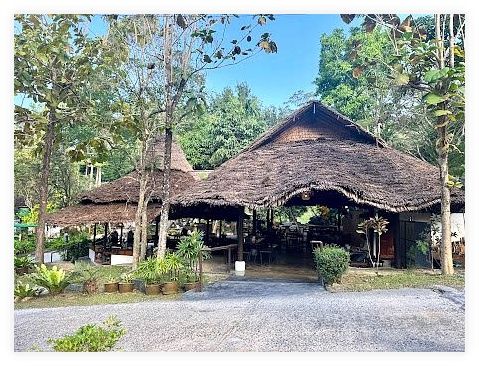 Samui Elephant Kingdom Sanctuary 이미지