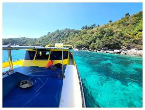 카오락의 푸른 속삭임, 시밀란 제도의 심해를 가슴에 담다: Sea Bees Diving Khao Lak 탐험기 이미지