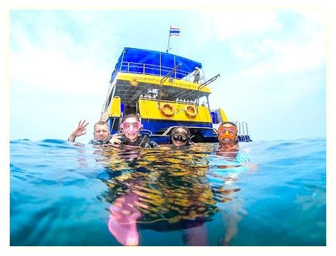 Sea Bees Diving Khao Lak | Scuba Diving Similans 이미지