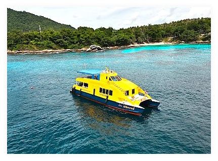 Sea Bees Diving Khao Lak | Scuba Diving Similans 이미지