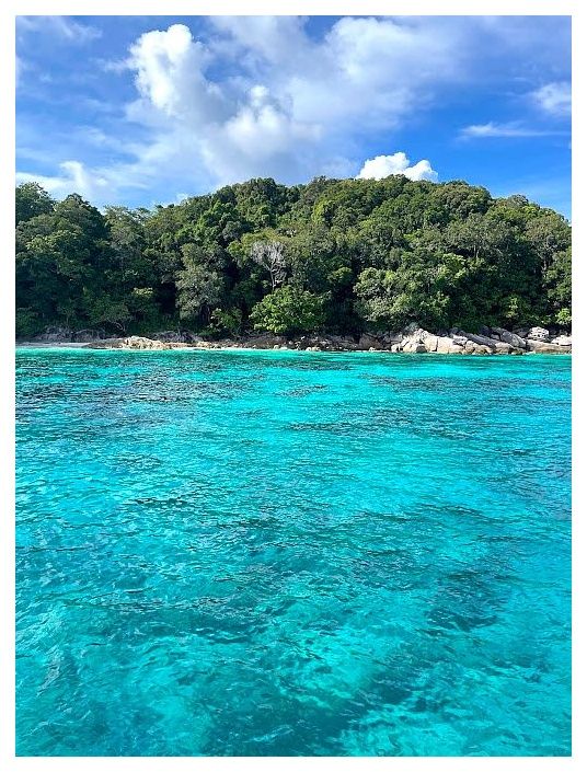 Sea Bees Diving Khao Lak | Scuba Diving Similans 이미지