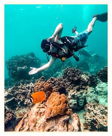 Simple Life Divers 이미지