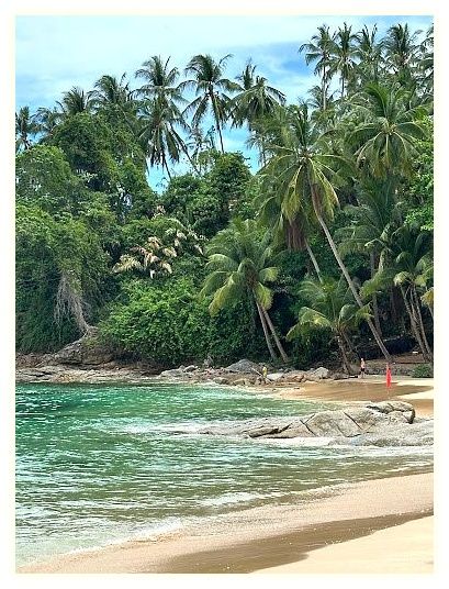 Surin Beach 이미지