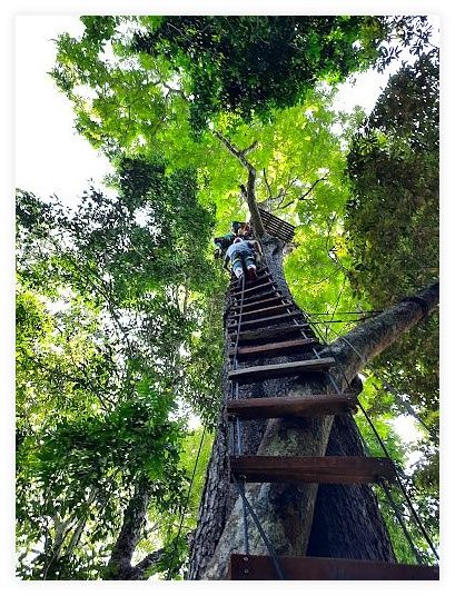 THAI'D UP ADVENTURES 이미지