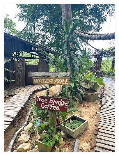 Tree Bridge Zipline 이미지