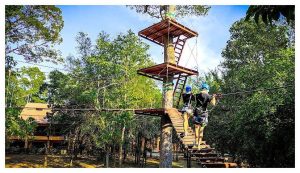 후아힌의 푸른 숲, 짜릿한 모험의 노래 – Tree Top Adventure Park Huahin 탐험기 이미지