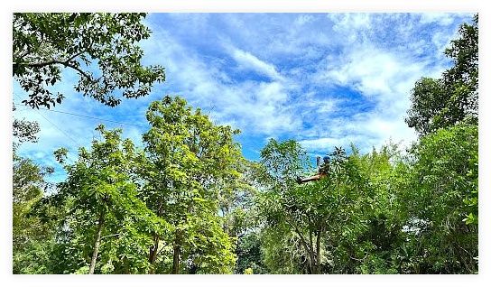 Tree Top Adventure Park Huahin 이미지