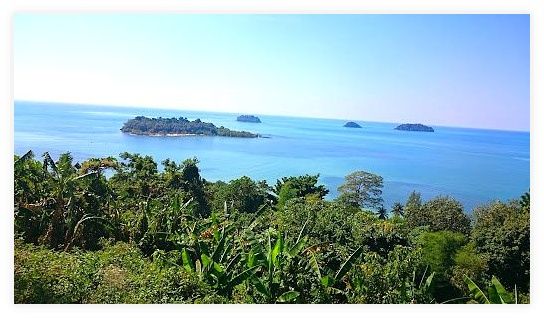View point 이미지