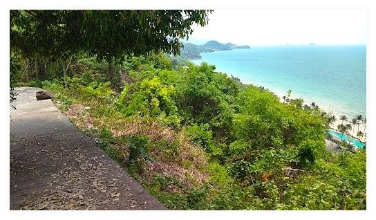 View point 이미지